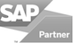 SAP Partner